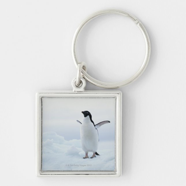 Porte-clés Pingouin d'Adelie, Antarctique (Devant)