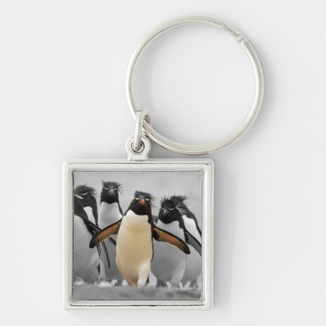Porte-clés Pingouins de Rockhopper (Devant)