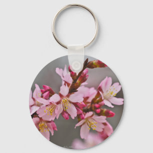 Porte-clés Pink Against A Gray Sky Japanese Cherry Blossoms