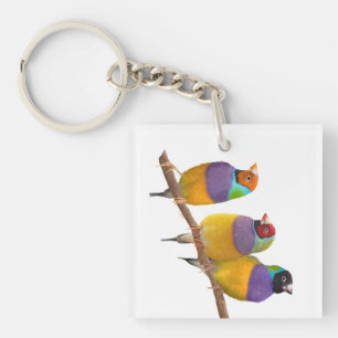 Porte-clés Pinsons colorés de Gouldian aux pastels