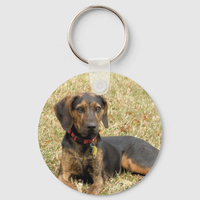 Porte-clés Plott Hound (Recto)