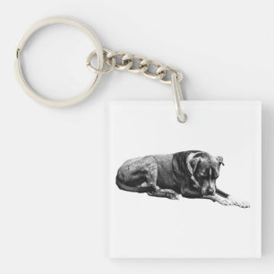 Porte-clés Pocket Lounge Chien Porte - clé