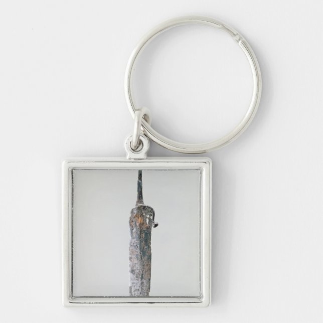 Porte-clés Poignard, culture de Halstatt, c.750-450 AVANT (Devant)