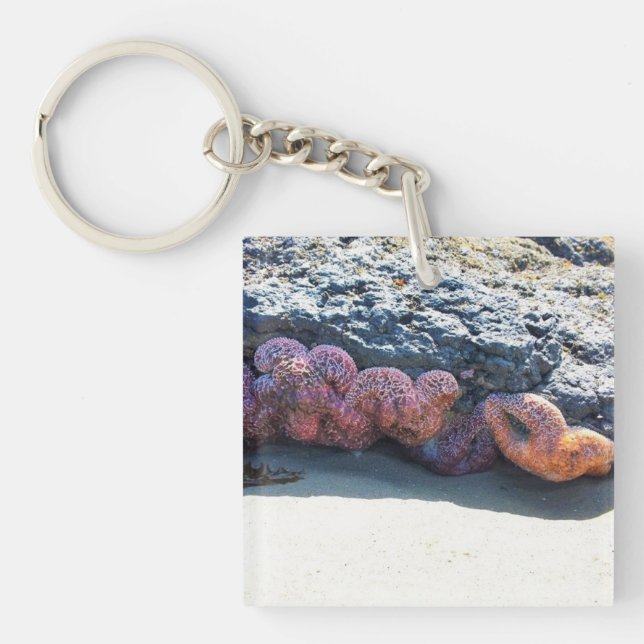 Porte-clés Poisson étoilée colorée à Bob Creek, OU (Devant)