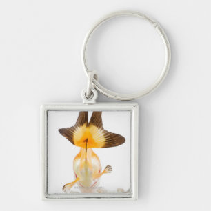 Porte-clés Poisson rouge (auratus de Carassius) 2