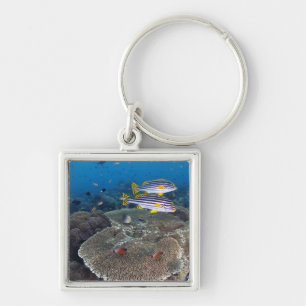 Porte-clés Poissons de Sweetlip