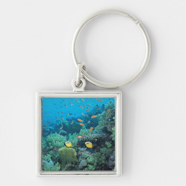 Porte-clés Poissons tropicaux nageant au-dessus du récif (Devant)
