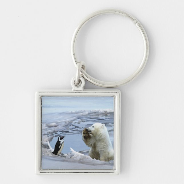 Porte-clés Polar Bear Cub & Penguin Best Friends Porte - clé (Devant)