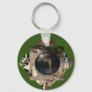 Porte-clés Polyscope Meerkat, Clavier