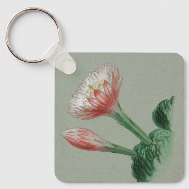 Porte-clés Pomme péruvienne (Recto)