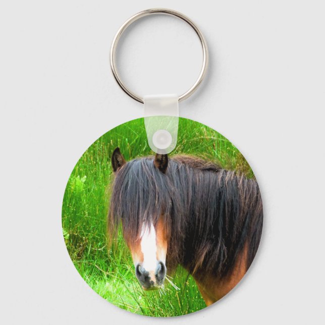 PORTE-CLÉS PONEY DE MONTAGNE GALLOIS (Recto)