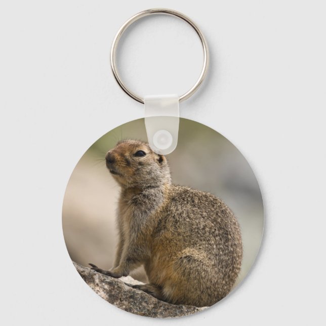Porte-clés Porte - clé Alpine Hoary Marmot (Recto)