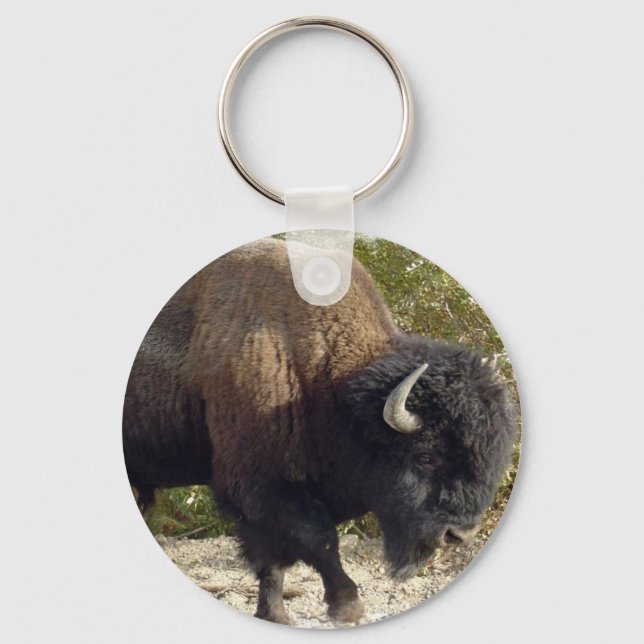 Porte-clés Porte - clé américain de Buffalo (Recto)