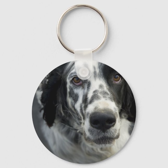 Porte-clés Porte - clé anglais Setter Dog (Recto)