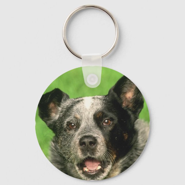 Porte-clés Porte - clé australien de chien de bétail (Recto)
