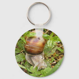 Porte-clés Porte - clé avec escargot.
