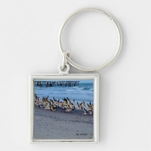 Porte-clés Porte - clé avec photo d'oiseaux, skimmers noirs