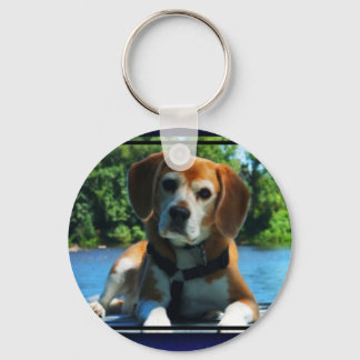 PORTE-CLÉS PORTE - CLÉ BEAGLE 2