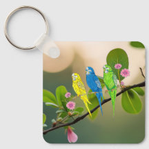 Porte - clé Budgies Bird