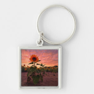 Porte-clés Porte - clé carré