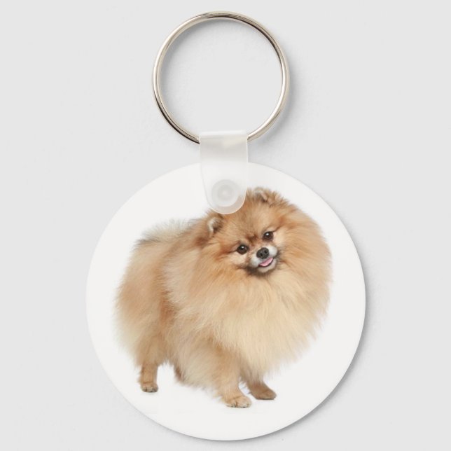 Porte-clés Porte - clé Chien Chien Chien Chien Chien Chien Ch (Recto)