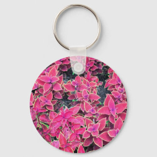 Porte-clés Porte - clé Coleus Plante rose