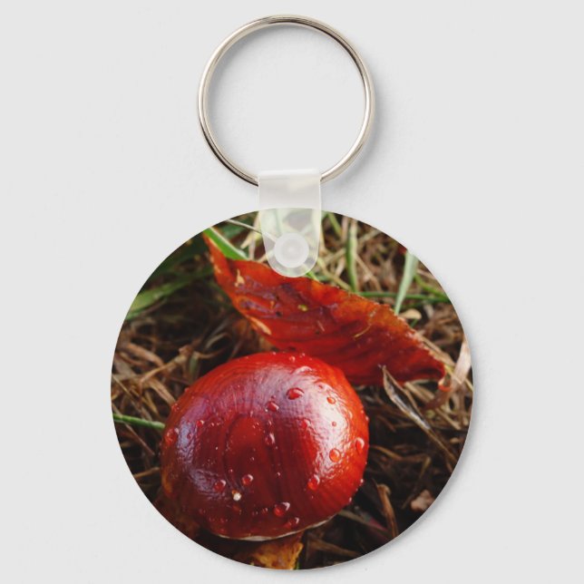 Porte-clés Porte - clé Conker (Recto)