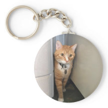 Porte - clé Cooper