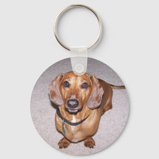 Porte-clés Porte - clé Dachshund (Recto)