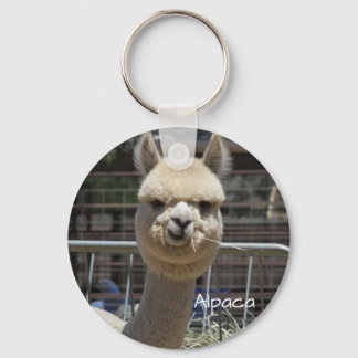 Porte-clés Porte - clé d'Alpaca drôle