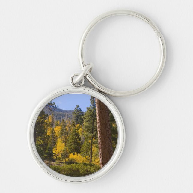 Porte-clés Porte - clé d'automne 9 (Devant)