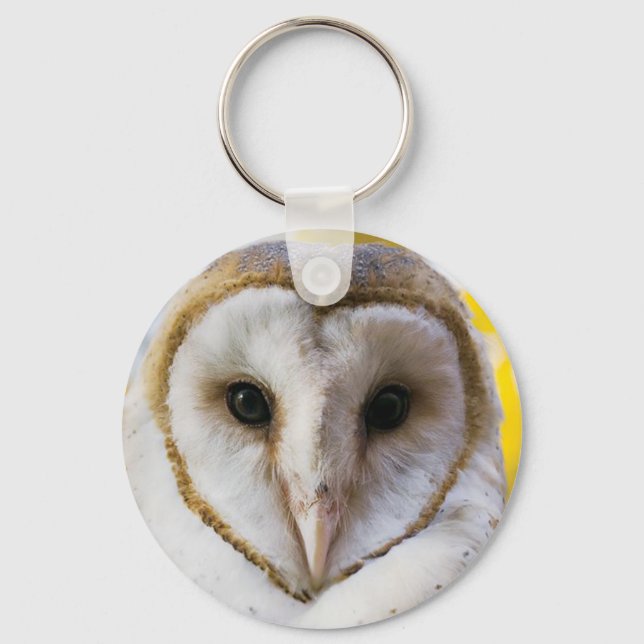 Porte-clés Porte - clé de Barn Owl (Recto)