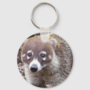 Porte-clés Porte - clé de base de bouton de Coati
