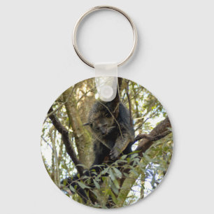 Porte-clés Porte - clé de Bearcat de Binturong