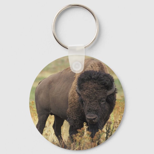 Porte-clés Porte - clé de bison américain (Recto)