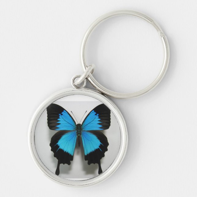 Porte-clés porte - clé de bleu de papillon (Devant)