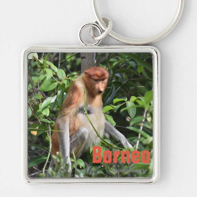 Porte-clés Porte - clé de Bornéo Proboscis (Devant)