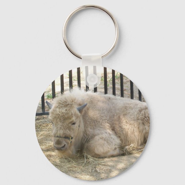 Porte-clés Porte - clé de buffle blanc (Recto)