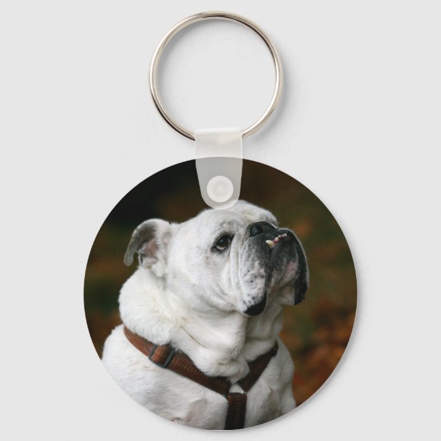 Porte-clés Porte - clé de Bulldog anglais (Recto)