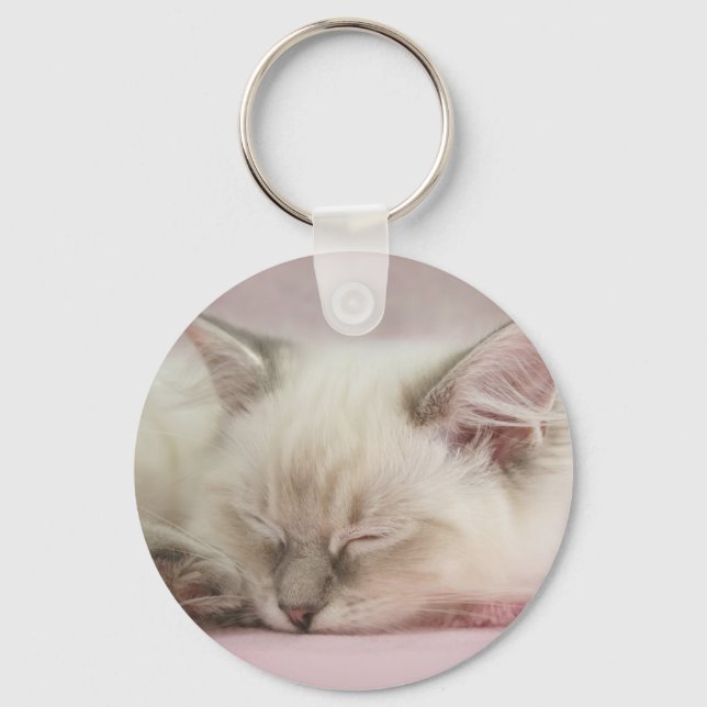 Porte-clés porte - clé de chaton ragdoll (Recto)