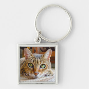 Porte-clés Porte - clé de chats mignons