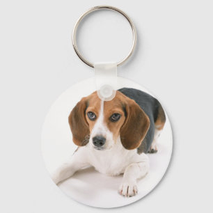 Porte-clés Porte - clé de chien de beagle