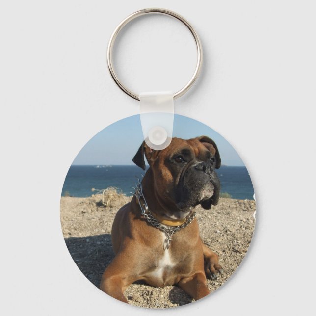 Porte-clés Porte - clé de chien de boîte mignon (Recto)