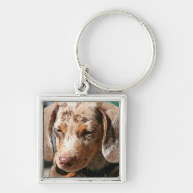 Porte-clés Porte - clé de chien de Daschund (Devant)