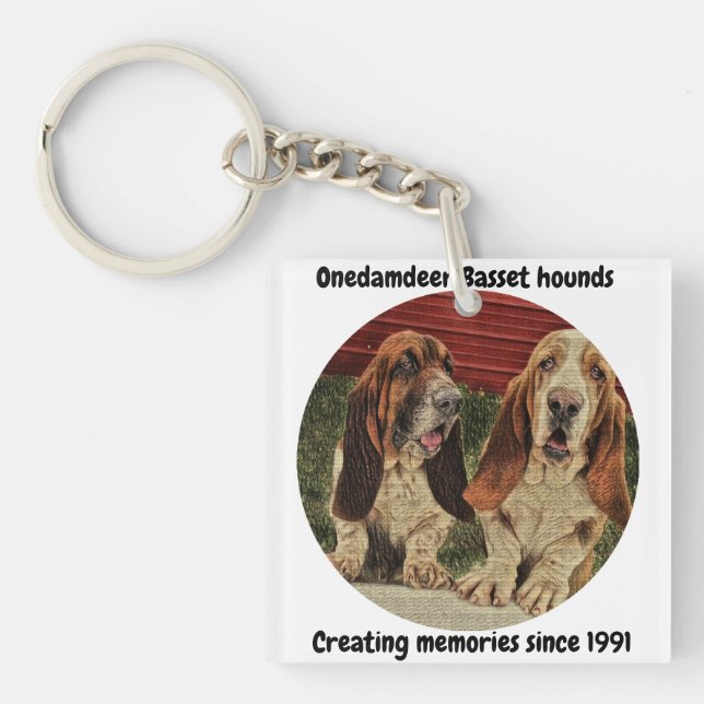 Porte-clés porte - clé de chiens de basset d'onedamdeer (Devant)