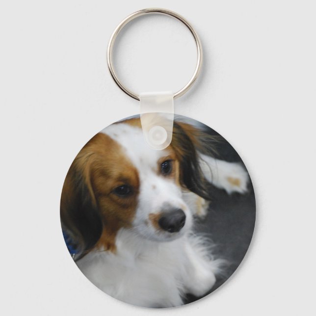 Porte-clés Porte - clé de chiens Kooikerhondje (Recto)