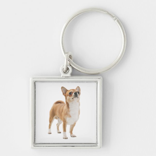 Porte-clés Porte - clé de Chihuahua chiot (Devant)