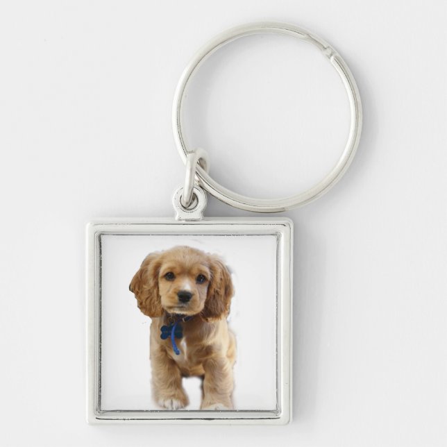 Porte-clés Porte - clé de chiot de Cocker spaniel (Devant)
