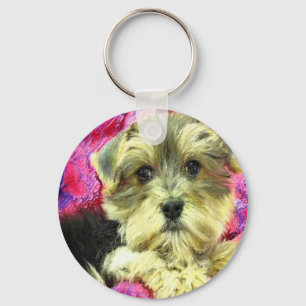 Porte-clés porte - clé de chiot morkie