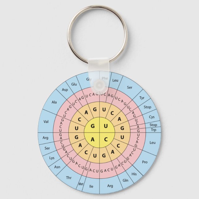 Porte-clés Porte - clé de code génétique (Recto)